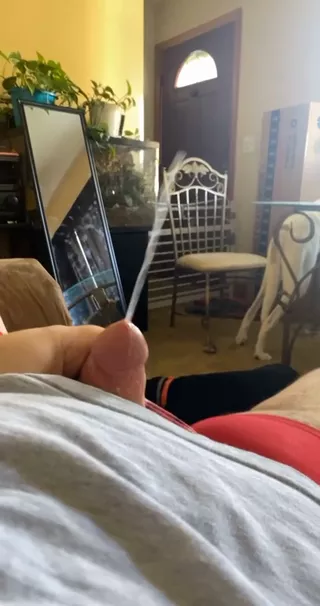 Amatorki - Amateur Cum